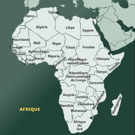 Carte de l'Afrique