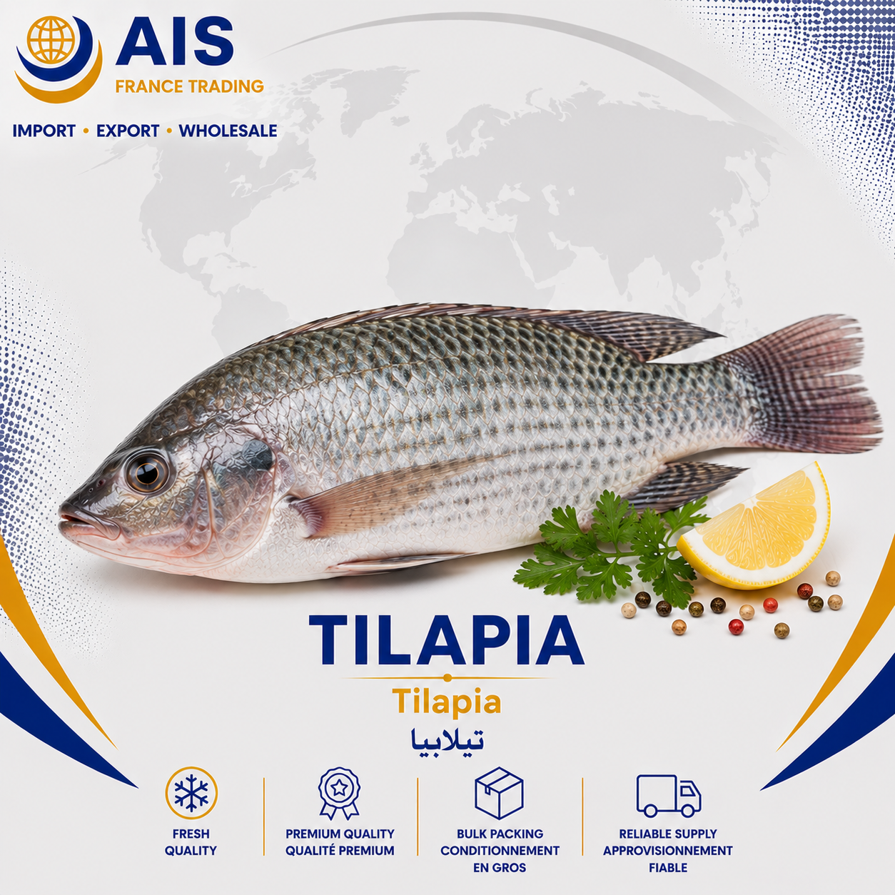 Tilapia